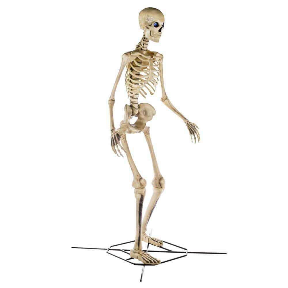 Home Accents Holiday 12 ft Giant-Sized Skeleton With LifeEyes LCD Eyes - Image 3